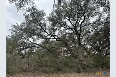 2 Dentler Tract 2 Road, Meyersville, TX 77974 - Photo 4