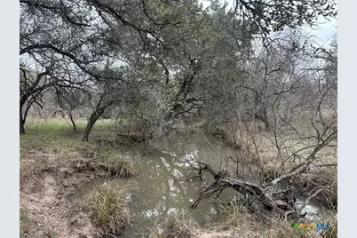 6 Dentler Tract 6 Road, Meyersville, TX 77974 - Photo 1