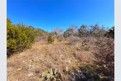 172 Rayner Court, Spring Branch, TX 78070 - Photo 12