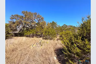 172 Rayner Court, Spring Branch, TX 78070 - Photo 10