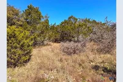 172 Rayner Court, Spring Branch, TX 78070 - Photo 4