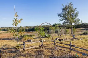 3270 Fm 671, Luling, TX 78648 - Photo 20