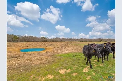 1000 Mill Creek Rd, Seguin, TX 78155 - Photo 6