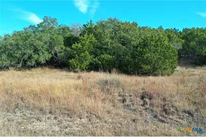 111 Dodder Lane, Spring Branch, TX 78070 - Photo 8