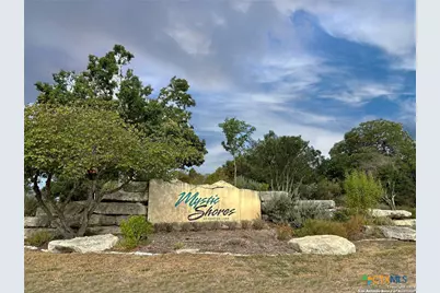 111 Dodder Lane, Spring Branch, TX 78070 - Photo 1