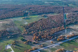 Tbd Tx-123, Seguin, TX 78155 - Photo 34