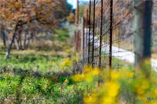 Tbd Tx-123, Seguin, TX 78155 - Photo 36