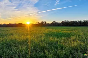 Tbd Tx-123, Seguin, TX 78155 - Photo 30