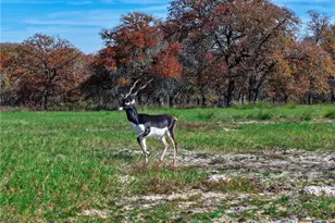 Tbd Tx-123, Seguin, TX 78155 - Photo 38