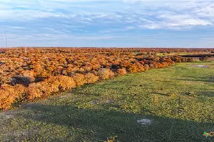 Tbd Tx-123, Seguin, TX 78155 - Photo 32