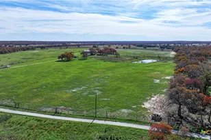 Tbd Tx-123, Seguin, TX 78155 - Photo 10