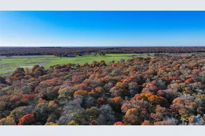 Tbd Tx-123, Seguin, TX 78155 - Photo 48