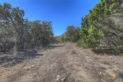 491 Gallagher Drive, Canyon Lake, TX 78133 - Photo 6