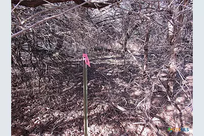 10784 Highview Drive, Belton, TX 76513 - Photo 4