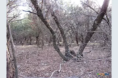 10784 Highview Drive, Belton, TX 76513 - Photo 12