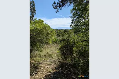 19529B Adrian Way, Lago Vista, TX 78645 - Photo 8