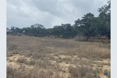 785 Ansley Home, Bulverde, TX 78163 - Photo 4