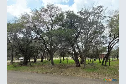 14 S Cliffwood Circle, Belton, TX 76513 - Photo 4