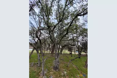 14 S Cliffwood Circle, Belton, TX 76513 - Photo 8