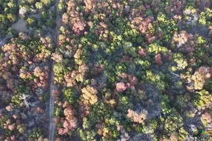 Fm 1113 W Lindorbet Ranch Lot 16A, Copperas Cove, TX 76522 - Photo 12