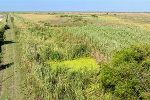 000 Big Dukes Ranch, Port Lavaca, TX 77979 - Photo 34