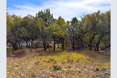 2184 Grandview Forest, Canyon Lake, TX 78133 - Photo 2