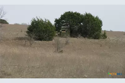 125 Acres Harmon Road, Copperas Cove, TX 76522 - Photo 22
