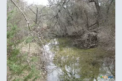 125 Acres Harmon Road, Copperas Cove, TX 76522 - Photo 12