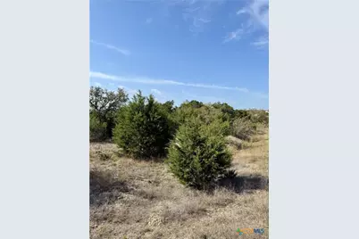 439 Cielo Vista, Canyon Lake, TX 78133 - Photo 10