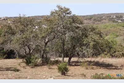 2118 Bella Vista, Canyon Lake, TX 78133 - Photo 14