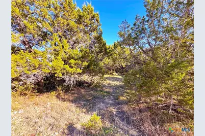 1100 Diamondhead Drive, Canyon Lake, TX 78133 - Photo 10