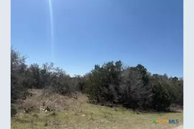 1050 Happy Hollow Drive, New Braunfels, TX 78132 - Photo 2