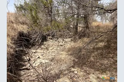 13203 Private Rd 3642 Road, Lampasas, TX 76550 - Photo 4