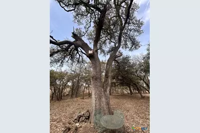 13203 Private Rd 3642 Road, Lampasas, TX 76550 - Photo 6