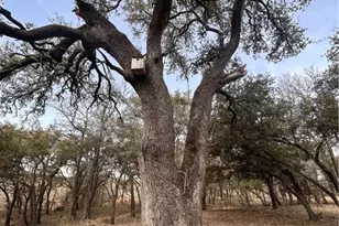 13203 Private Rd 3642 Rd, Lampasas, TX 76550 - Photo 6