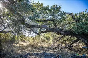 6498 Hwy 35 N, Rockport, TX 78382 - Photo 20