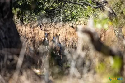 6498 Hwy 35 N, Rockport, TX 78382 - Photo 16