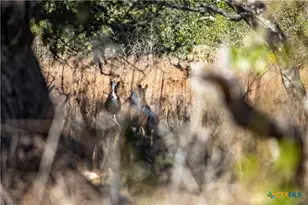 6498 Hwy 35 N, Rockport, TX 78382 - Photo 16