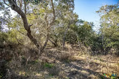 6498 Hwy 35 N, Rockport, TX 78382 - Photo 46