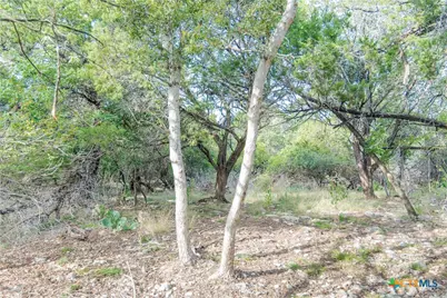 16353 Charlya Drive, Temple, TX 76502 - Photo 6