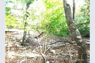 16353 Charlya Drive, Temple, TX 76502 - Photo 14