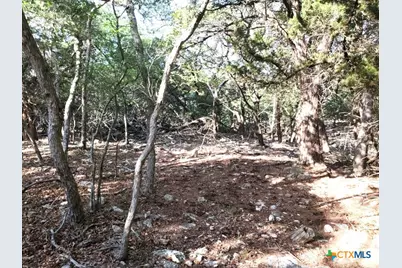 16353 Charlya Drive, Temple, TX 76502 - Photo 18