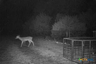 2998 Straws Mill Rd, Gatesville, TX 76528 - Photo 48