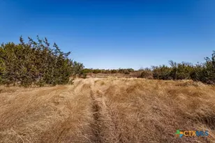 2998 Straws Mill Rd, Gatesville, TX 76528 - Photo 4