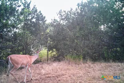 2998 Straws Mill Road, Gatesville, TX 76528 - Photo 42