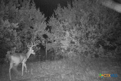 2998 Straws Mill Road, Gatesville, TX 76528 - Photo 40