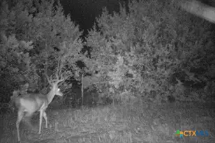 2998 Straws Mill Rd, Gatesville, TX 76528 - Photo 40