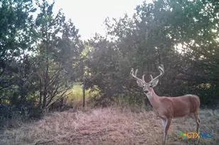 2998 Straws Mill Rd, Gatesville, TX 76528 - Photo 40