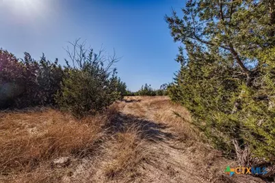 2998 Straws Mill Road, Gatesville, TX 76528 - Photo 22