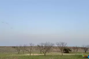 2238 County Rd 2109, Lometa, TX 76853 - Photo 48